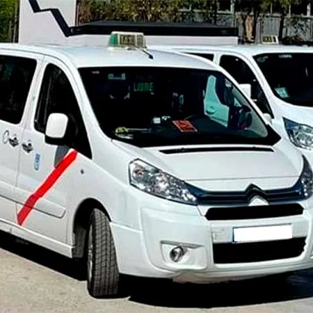 Vehículo de Taxi Nuevo Baztán para viajes con mascota